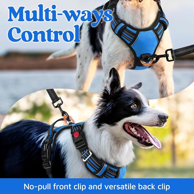 rabbitgoo Dog Harness for Large Dogs, 3 Buckles Easy On & Off No Pull Pet Vest, Soft Padded Walking Pet Harness with Control Handle, Adjustable and Reflective, Blue, L
