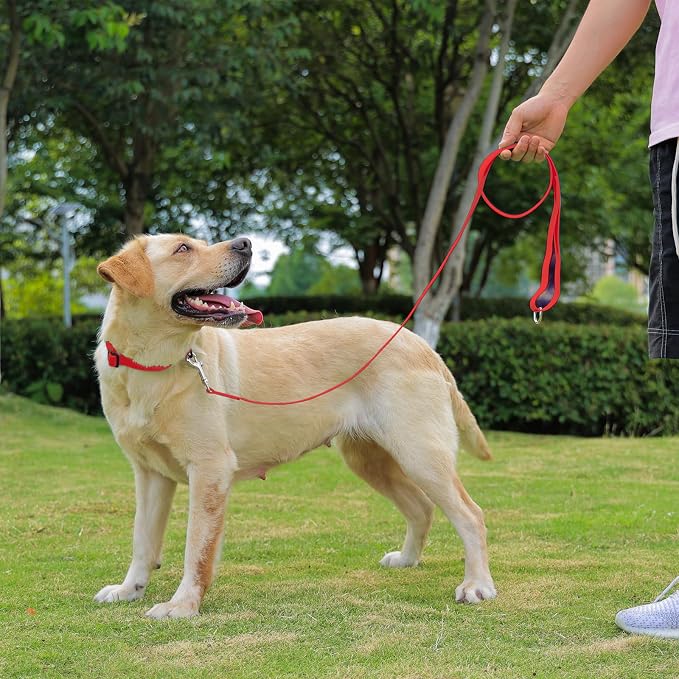 Waterproof Dog Leash, 5/6 FT Durable Odor-Proof Dog Leashes with Strong Metal Hooks Fits Small Medium or Large Dogs (Red, 5FT - 3/4 inch Width)