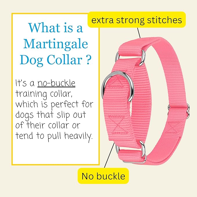 Country Brook Petz - Martingale Dog Collar - Heavy-Duty Training Collar with No Buckle - Service Dog Collar for All Pups - 20 Vibrant Colors (Pink, 1 Inch, Medium)