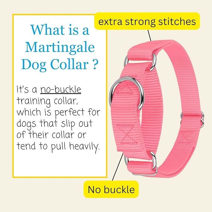 Country Brook Petz - Martingale Dog Collar - Heavy-Duty Training Collar with No Buckle - Service Dog Collar for All Pups - 20 Vibrant Colors (Pink, 3/8 Inch, 2XS)
