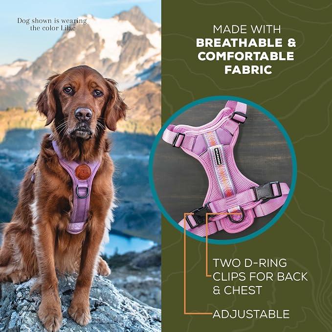 Wilderdog Lightweight Dog Harness with Reflective Straps - Small - Pacific Blue