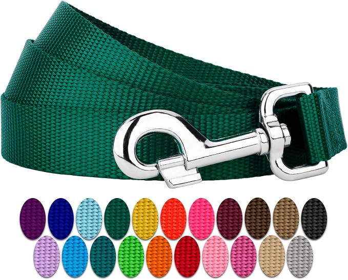 Country Brook Petz - Everyday Nylon Dog Leash - Strong, Durable, Solid Color Leash with Easy to Use Snap - 25+ Colors (1 Inch Wide, 4 Foot, Green)