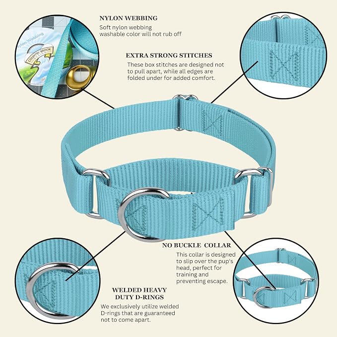 Country Brook Petz - Martingale Dog Collar - Heavy-Duty Training Collar with No Buckle - Service Dog Collar for All Pups - 20 Vibrant Colors (Ocean Blue, 1 Inch, Extra Large)