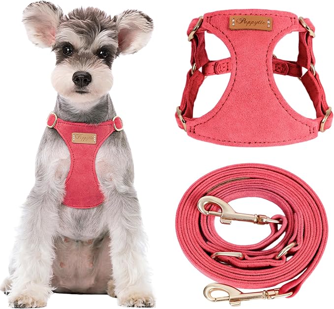 Puppytie Small Dog Harness with Multifunction Dog Leash,Lightweight Soft Adjustable No Choke Escape Proof Pet Harness Vest Pet Harness Vest,red-Camellia,S