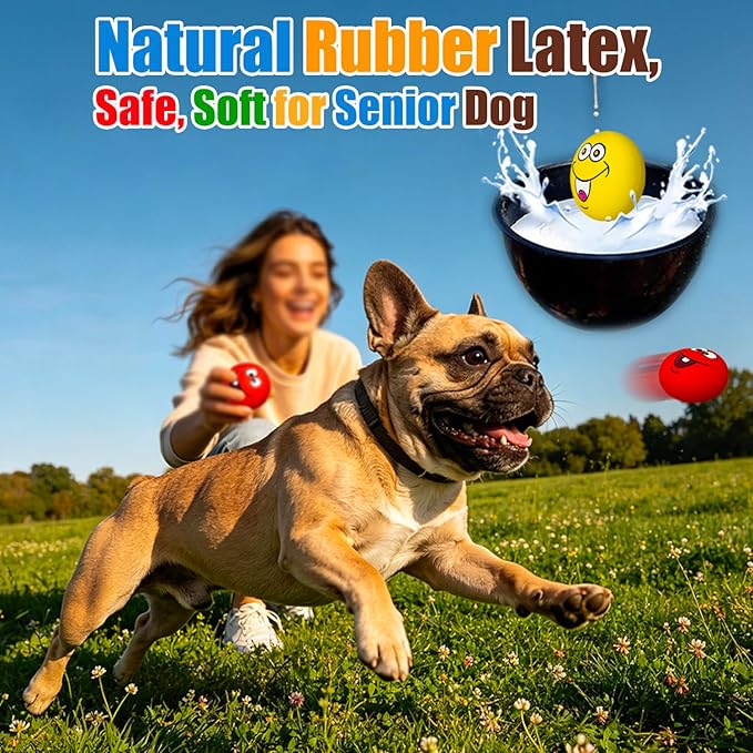 HOLYSTEED Latex Dog Squeaky Toys, Rubber Soft Small Dog Toys Chewing Squeaky Toy, Fetch Play Balls Toy for Puppy Small Pets 6pcs
