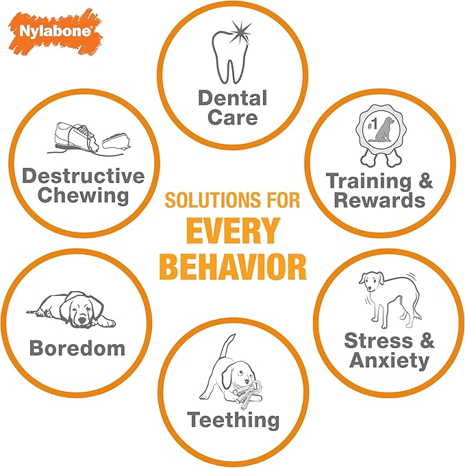Nylabone Dental Dinosaur Power Chew Toy for Dogs, Dog Toys for Aggressive Chewers, Chicken Flavor, Small - Up to 25 lbs, 1 Count