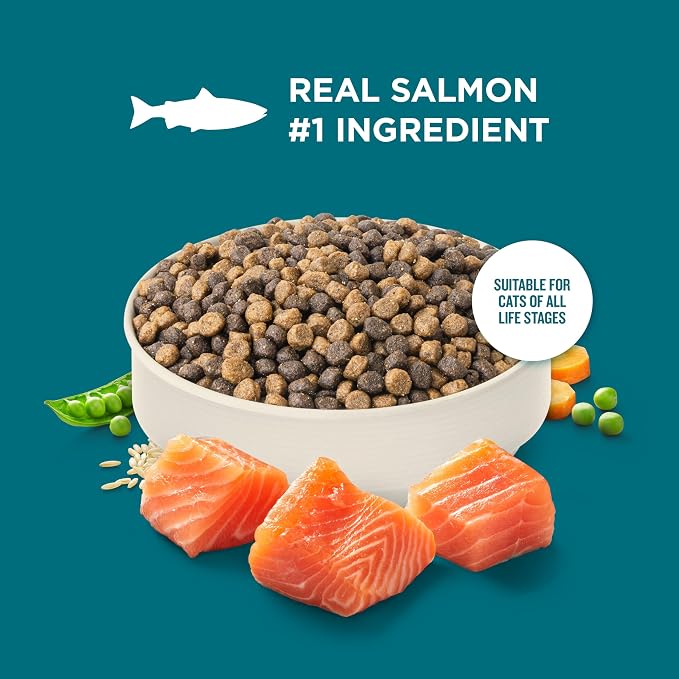 Nutrish Rachael Ray Dry Cat Food Real Salmon & Brown Rice Recipe, 5 lb. Bag