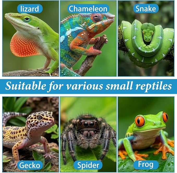 9 Pack Crested Gecko Food Dish & Spoons, Silicone Gecko Feeding Cups Reusable Small Reptile Food and Water Bowl Gecko Tank Accessories for Hermit Crabtortoise Tarantula Lizard, 7 Colors