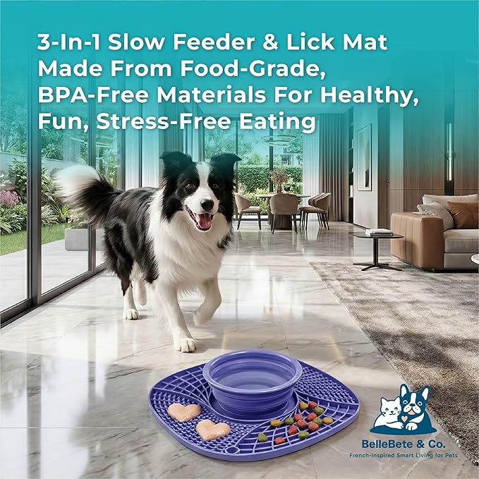 BelleBête & Co. 3-in-1 Pet Slow Feeder Bowl Lick Mat with Collapsible Bowl for Dog & Cat – Food-Grade Material & Non-Slip Base for Kibble, Dry and Wet Food, Digestive Health & Reduce Anxiety | Pink