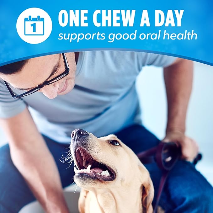 Purina DentaLife Daily Oral Care Dental Chews for Large Dogs - 90 ct.