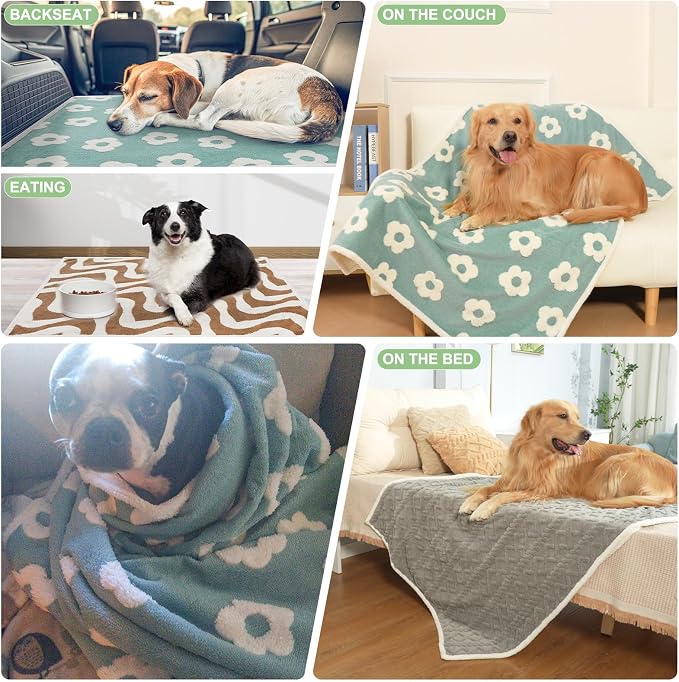 BEAUTYZOO Waterproof Dog Blankets for Large Dogs, Dog Blanket for Couch Sofa Bed, Super Soft Premium Coral Fleece Throw Cat Puppy Blanket, Reversible Furniture Protector, Washable Pet Blanket 32x40IN