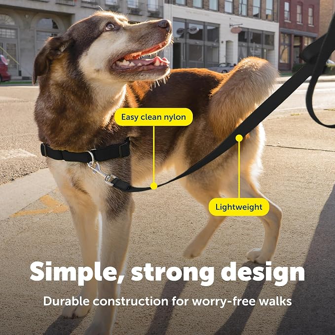 PetSafe Nylon Dog Leash Strong, Durable, Traditional Style Lead with Easy to Use Bolt Snap for Small, Medium and Large Dogs 1" x 4', Black