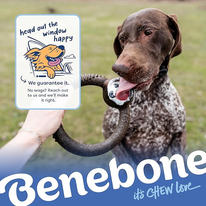 Benebone Ring Durable Dog Chew Toy for Aggressive Chewers – Limited Edition Blueberry Flavor, Medium