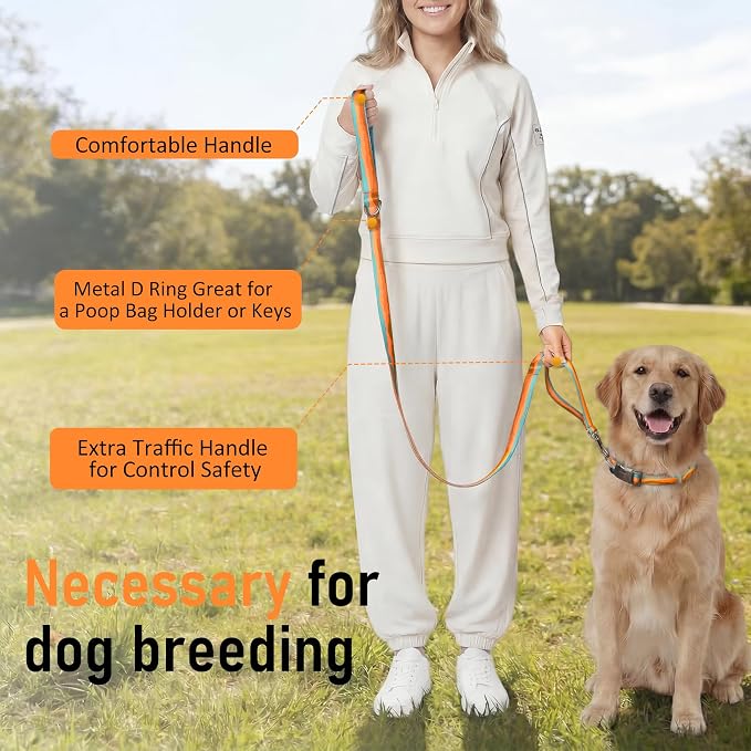 Double Handle Dog Leash 5FT – Heavy Duty Nylon Flat Leash with Traffic Handle & Safety Lock Clip,Colorful Durable Walking Lead for Small Medium Large Dogs Training & Daily (Sunset Orange)