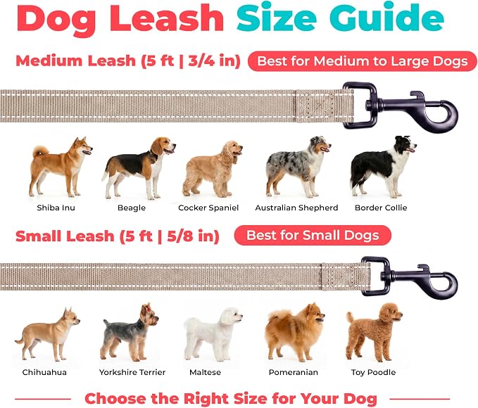 Best Pet Supplies Voyager Reflective Dog Leash or Collar with Neoprene Handle, for Small, Medium, and Large Breed Puppies, Cute and Heavy Duty for Walking, Running and Training - Khaki (Leash), M