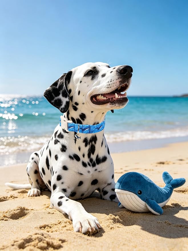 Maca Bates Summer Beach Dog Collar with Whale Charm for Large Girl Boy Dogs,Blue Ocean Whale Pattern,Adjustable Durable Soft Comfortable Nautical Dog Collar for Male Female Puppy
