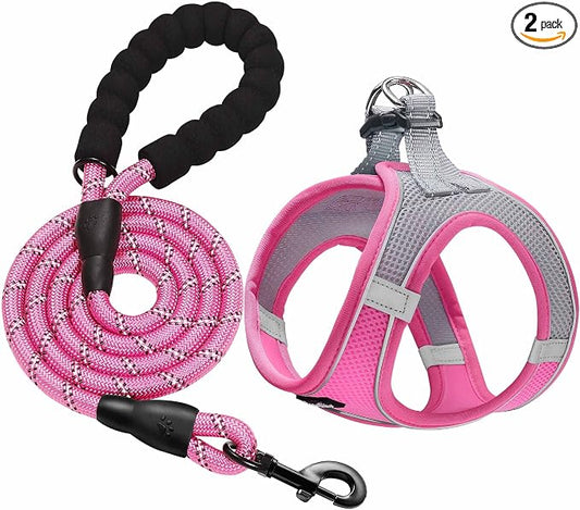 haapaw Dog Harness with Leash Set, No Pull Adjustable Reflective Step-in Puppy Harness with Thickened Padded Vest for Extra-Small/Small Medium Dogs