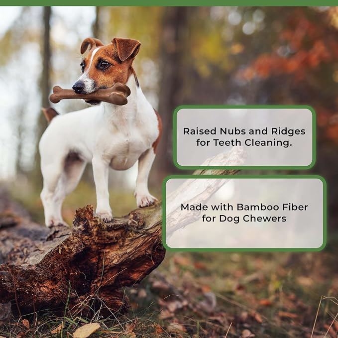 SPOT Bam-Bones Bone - Made with Strong Bamboo Fiber, Durable Long Lasting Dog Chew for Light to Moderate Chewers, Great Toy for Adult Dogs & Teething Puppies Under 25lbs, 5.75in, Bacon Flavor
