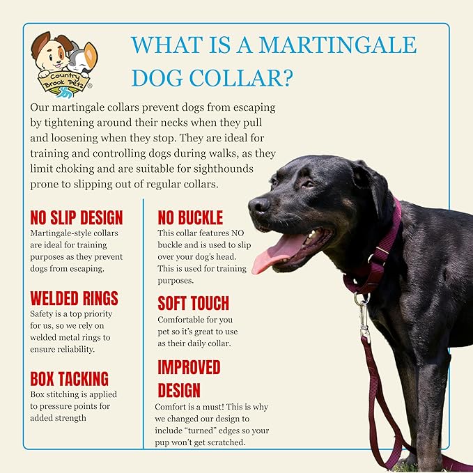 Country Brook Petz - Martingale Dog Collar - Heavy-Duty Training Collar with No Buckle - Service Dog Collar for All Pups - 20 Vibrant Colors (Burgundy, 1 Inch, Medium)