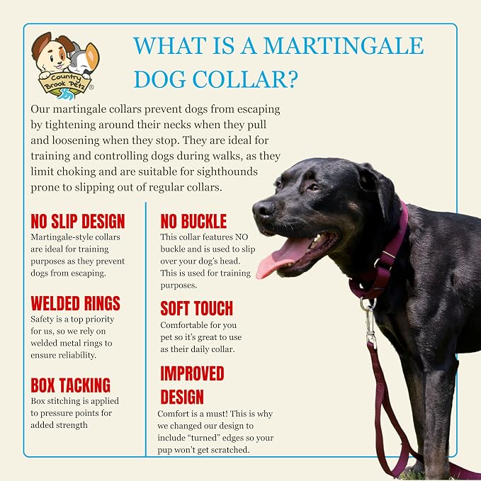 Country Brook Petz - Martingale Dog Collar - Heavy-Duty Training Collar with No Buckle - Service Dog Collar for All Pups - 20 Vibrant Colors (Burgundy, 3/8 Inch, 2XS)