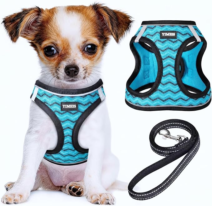 YIMEIS Dog Harness and Leash Set, No Pull Soft Mesh Pet Harness, Reflective Adjustable Puppy Vest for Small Medium Large Dogs, Cats (Blue, Small (Pack of 1))