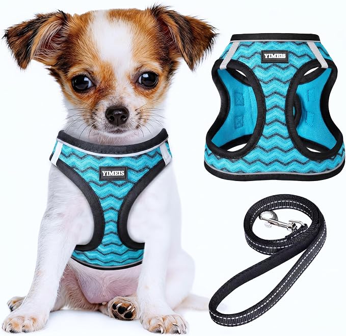 YIMEIS Dog Harness and Leash Set, No Pull Soft Mesh Pet Harness, Reflective Adjustable Puppy Vest for Small Medium Large Dogs, Cats (Blue, X-Small (Pack of 1)