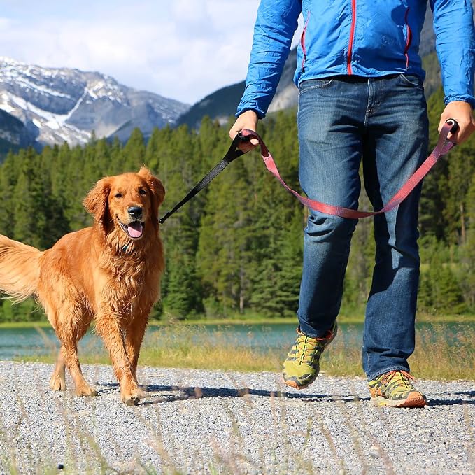 Leash Boss Original - Heavy Duty Dog Leash for Large Dogs - No Pull Double Handle Training Lead for Walking Big Dogs - Dog Leashes with Padded Handle for Control and Safety (Classic Red)