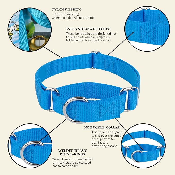 Country Brook Petz - Martingale Dog Collar - Heavy-Duty Training Collar with No Buckle - Service Dog Collar for All Pups - 20 Vibrant Colors (Ice Blue, 1 Inch, Medium)