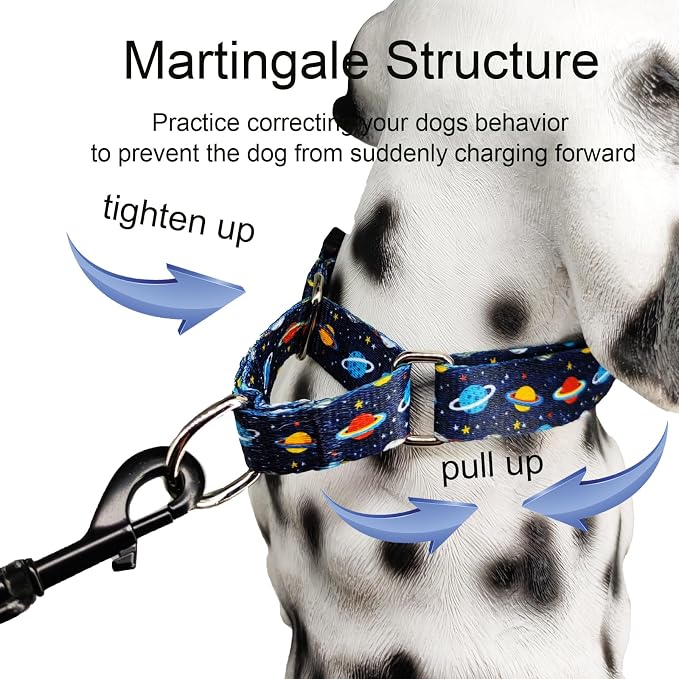 Martingale Dog Collars with Buckle No Slip Training Boy Dog Collar for Large Dogs (Blue Space, Large)