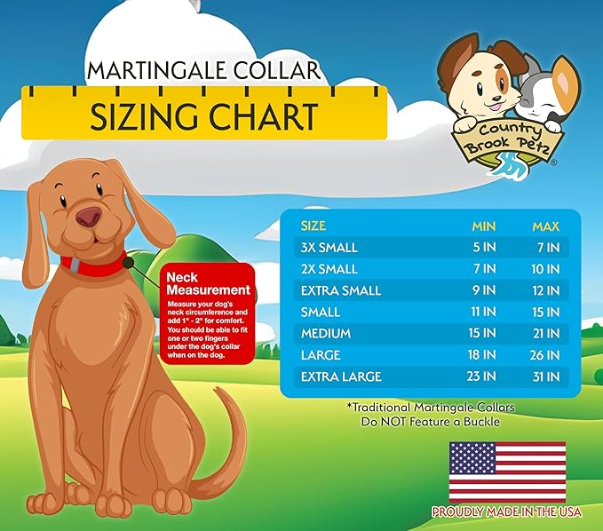 Country Brook Petz - Martingale Dog Collar - Heavy-Duty Training Collar with No Buckle - Service Dog Collar for All Pups - 20 Vibrant Colors (Charcoal, 3/4 Inch, Small)