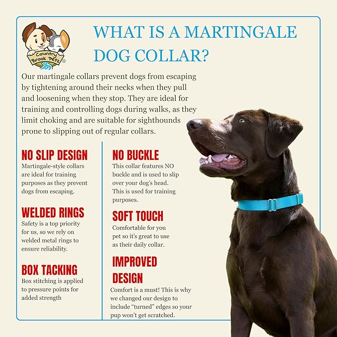 Country Brook Petz - Martingale Dog Collar - Heavy-Duty Training Collar with No Buckle - Service Dog Collar for All Pups - 20 Vibrant Colors (Ice Blue, 3/8 Inch, 3XS)