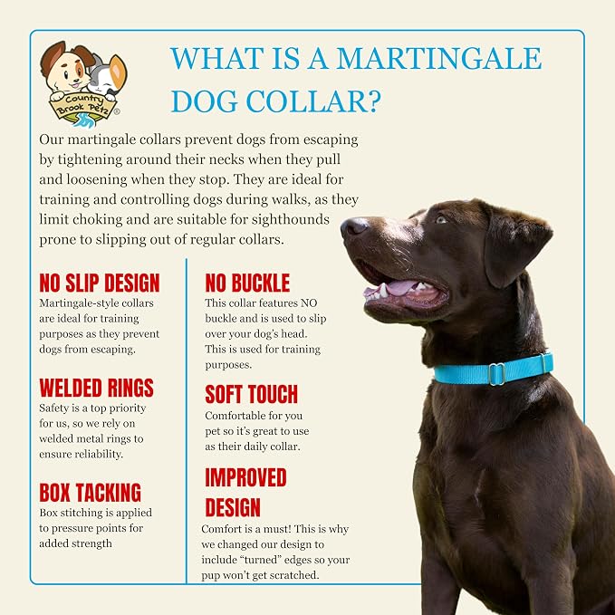 Country Brook Petz - Martingale Dog Collar - Heavy-Duty Training Collar with No Buckle - Service Dog Collar for All Pups - 20 Vibrant Colors (Ice Blue, 3/8 Inch, 2XS)