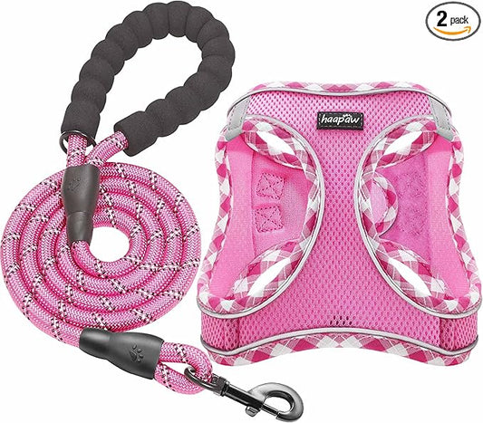 haapaw Dog Harness with Leash Set, No Pull Adjustable Reflective Step-in Puppy Harness with Thickened Padded Vest for Extra-Small/Small Medium Dogs