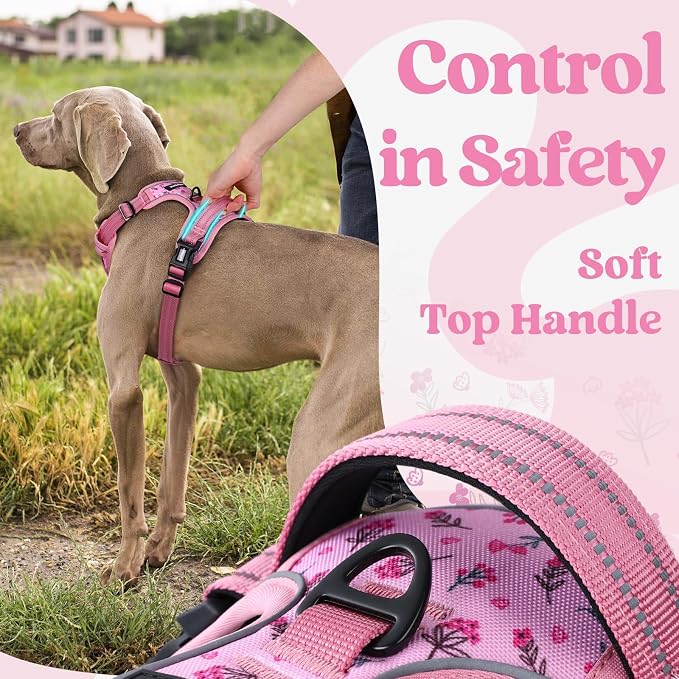 rabbitgoo Dog Harness Small Sized, No Pull Easy On & Off with 3 Buckles Pet Harness, Adjustable Soft Walking Vest with 2 Clips and Handle, Reflective for Small Dogs, Floral Pink, S