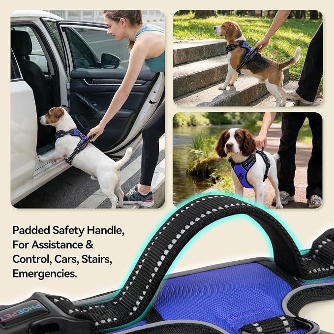PHOEPET No Pull Dog Harnesses for Small Puppies Reflective Adjustable Front Clip Vest with 2 Metal Leash Attachment Hooks Soft Handle [Over The Head Design](L, Royal Blue)