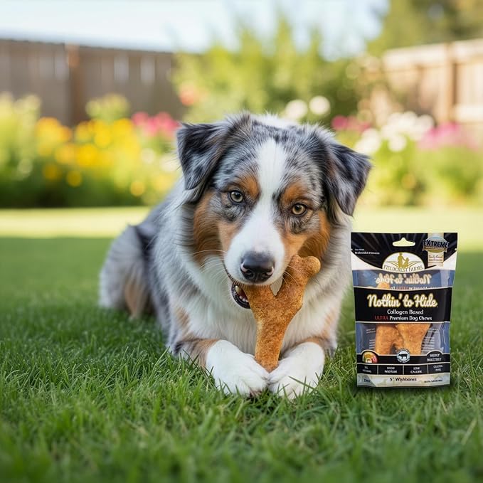 Fieldcrest Farms Nothin' to Hide Collagen-Based Dog Chews, Wishbone, Beef Flavor, Ultra-Premium, for Dogs Over 25lbs, Easily Digestible, Supports Skin, Coat, Joints & Muscles, 5-Inch, 2 Pieces