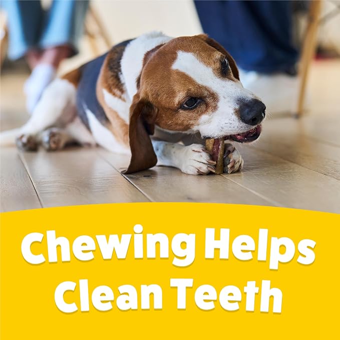 Purina Busy with Beggin’ Twist’d Mini Adult Dog Chew Bone Treats - 12 ct. Pouch