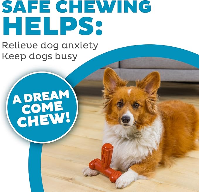 Dogwood Hold & Chew Dog Toy – Real-Wood Blend, Beef Scented, 3 Chewable Ends, Moderate Chewers, Large, 5" x 5.2" x 2.2"
