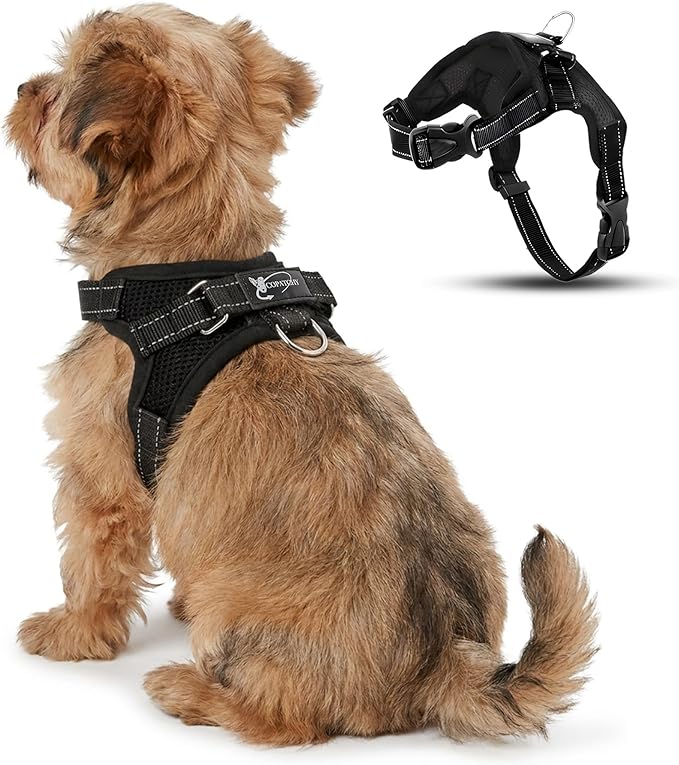 No Pull Reflective Adjustable Dog Harness with Handle- Comfortable Soft All Weather Mesh, Easy On Puppy Harness for Small Medium and Large Dogs (Black) XX-Small