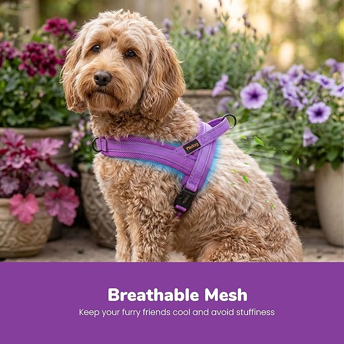 Didog No Pull Dog Harness with Breathable Mesh Padded,Reflective & Quick Fit Light Weight Dog Strap Vest Harness,Easy for Walking Training (S:Chest 18-22", Purple)