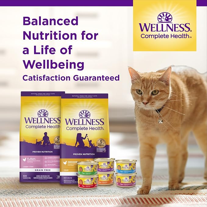 Wellness Complete Health Adult Dry Cat Food, Natural, Wholesome Grains Kibble, Chicken Recipe, 5 lb Bag