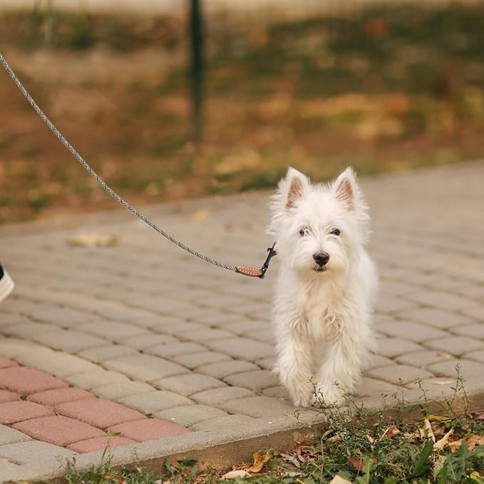 Mile High Life Small Dog Leash, Thin Rope Leash with Genuine Leather Connection and Heavy Duty Metal Clasp, Great for Small Medium Dogs(White,48 Inch-1/3)