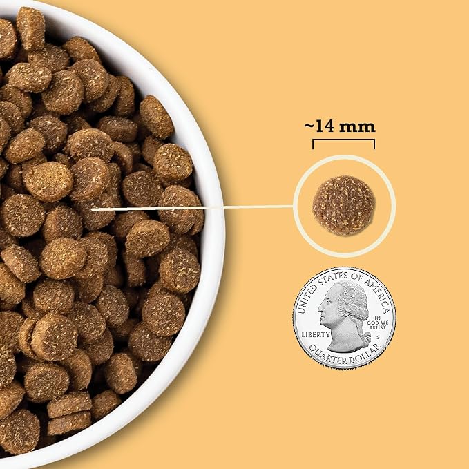 ACANA Wholesome Grains Dry Dog Food Free-Run Poultry & Grains Recipe 32lb Bag