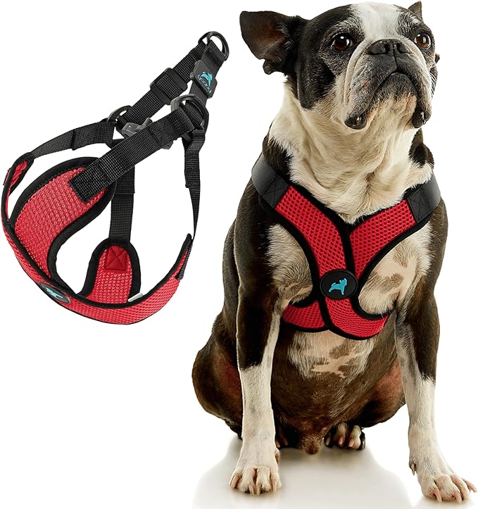 Gooby Comfort X Step in Lite Dog Harness - Choke Free, Escape Free with Light Breathable Mesh - Step in Dog Harness for Small Dogs Only - Quick Release Buckle, Metal D-Rings - Red, Small