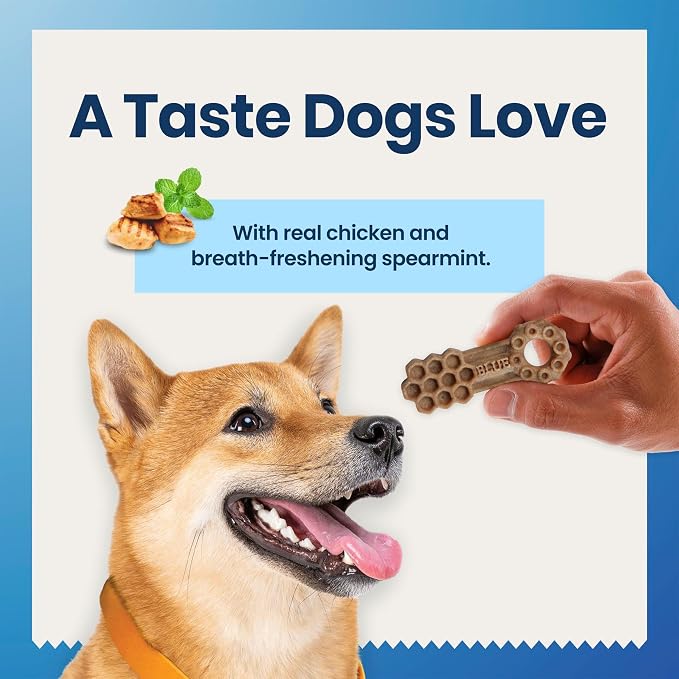 Blue Buffalo Dental Chews Large Natural Dog Treats, Chicken & Spearmint 33-oz Bag (63 Count)