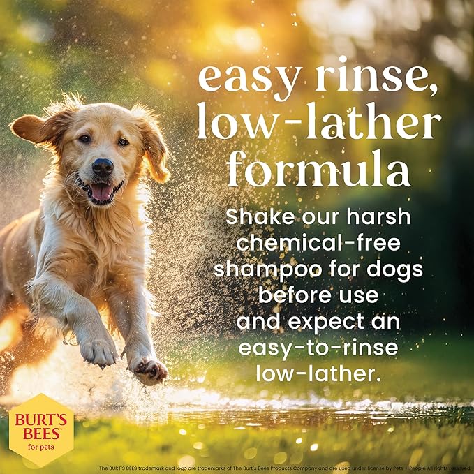 Burt's Bees for Pets Deodorizing Dog Shampoo and Conditioner with Apple and Rosemary, 95% Natural Origin, pH Balanced, No Sulfates or Parabens, for Smelly Dogs, 32 Fl Oz