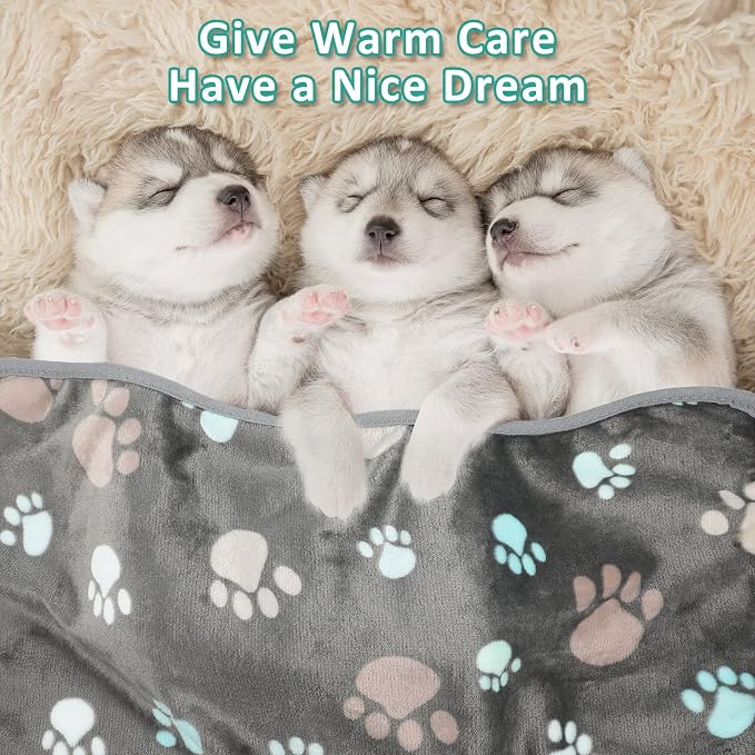 Tegeme 12 Pcs Pet Blankets 23 x 16 Inch Soft Fluffy Fleece Dog Cat Warm Paw Print Pattern Blankets Flannel Throw for Pets Dog Puppy Cat(Dark Gray)