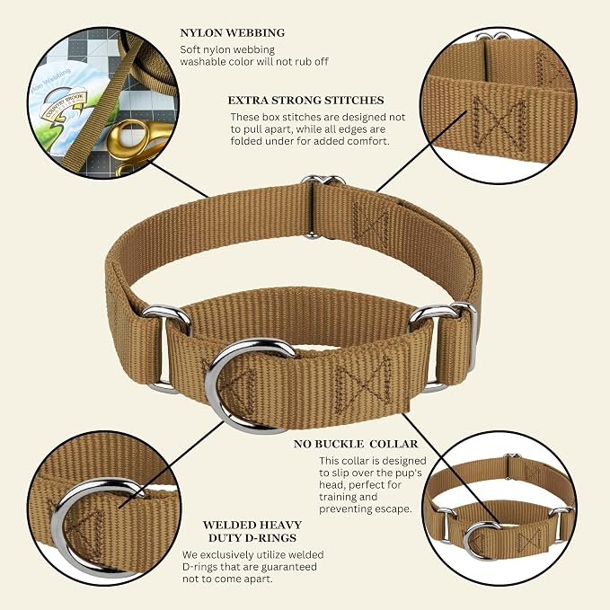 Country Brook Petz - Martingale Dog Collar - Heavy-Duty Training Collar with No Buckle - Service Dog Collar for All Pups - 20 Vibrant Colors (Coytote Tan, 3/8 Inch, 3XS)