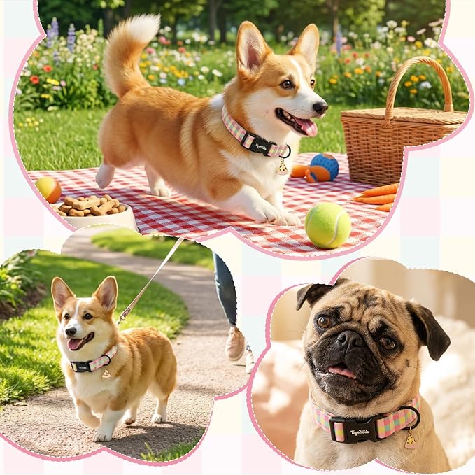 Dog Collar with Colorful Check Pattern, Spring Summer Collection Dog Collar with Exquisite Pendant, Durable Adjustable Collars for Gifts & Daily Use-XS