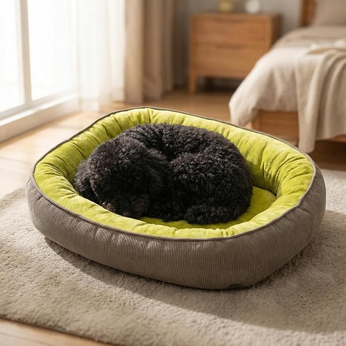 Calming Dog Bed for Medium Dogs 26"x19" - Orthopedic Washable Pet Bed with Anti-Slip Bottom, Indoor Soft Cat Bed with Removable Cover (Lime Green)